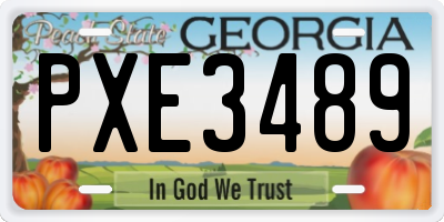 GA license plate PXE3489