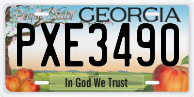 GA license plate PXE3490