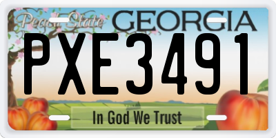GA license plate PXE3491