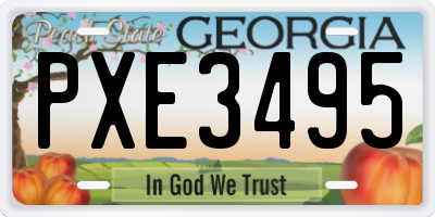 GA license plate PXE3495