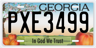 GA license plate PXE3499