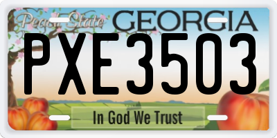 GA license plate PXE3503