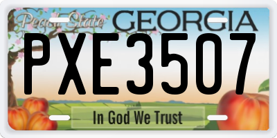GA license plate PXE3507