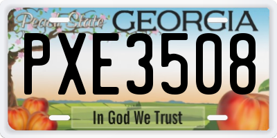 GA license plate PXE3508