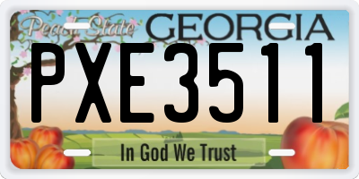 GA license plate PXE3511