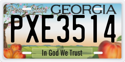GA license plate PXE3514