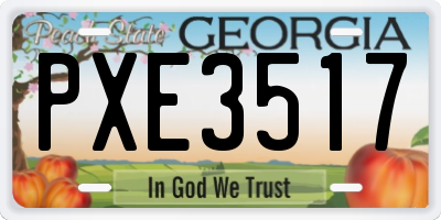 GA license plate PXE3517