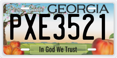 GA license plate PXE3521