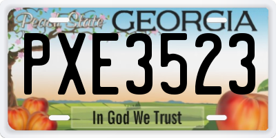 GA license plate PXE3523