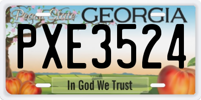 GA license plate PXE3524