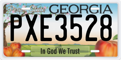 GA license plate PXE3528