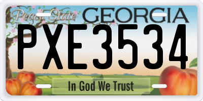 GA license plate PXE3534