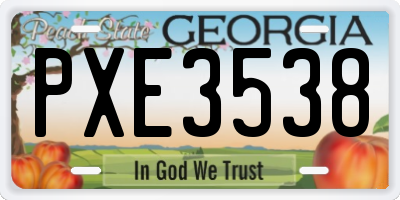 GA license plate PXE3538