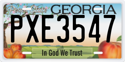GA license plate PXE3547