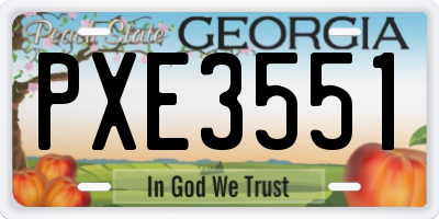 GA license plate PXE3551