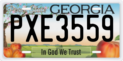GA license plate PXE3559