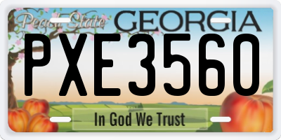 GA license plate PXE3560