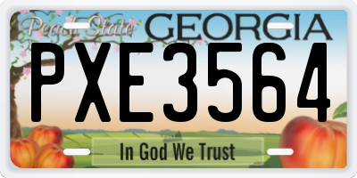 GA license plate PXE3564