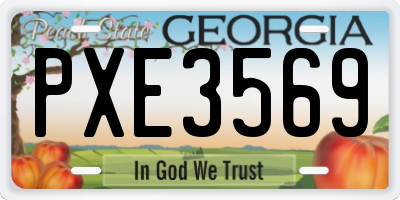GA license plate PXE3569