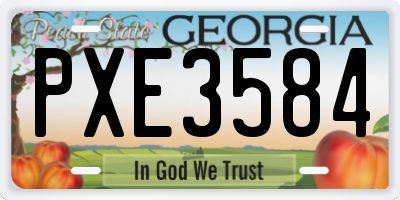 GA license plate PXE3584