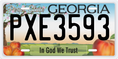 GA license plate PXE3593