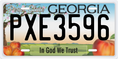 GA license plate PXE3596