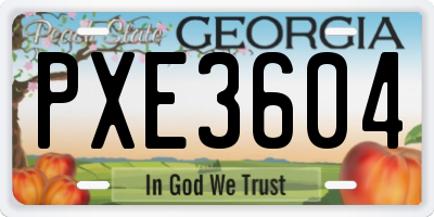 GA license plate PXE3604
