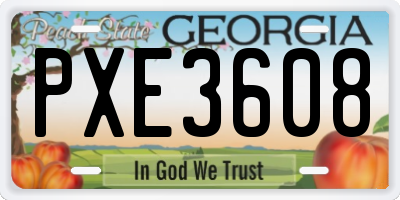 GA license plate PXE3608