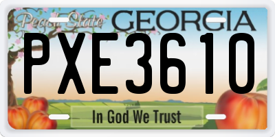 GA license plate PXE3610
