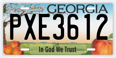 GA license plate PXE3612
