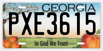 GA license plate PXE3615