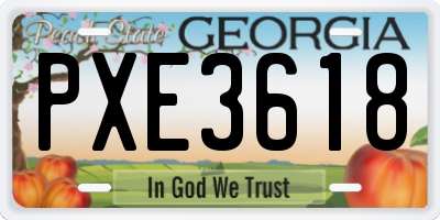 GA license plate PXE3618