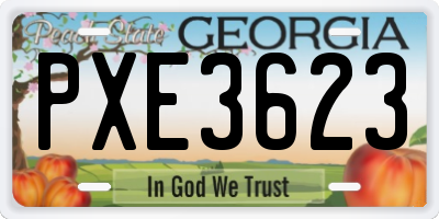 GA license plate PXE3623