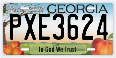 GA license plate PXE3624