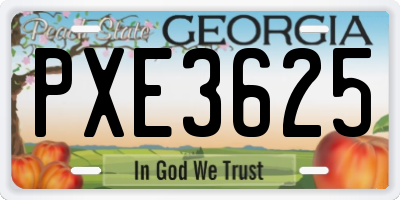 GA license plate PXE3625