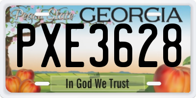 GA license plate PXE3628