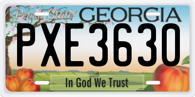 GA license plate PXE3630