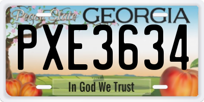 GA license plate PXE3634