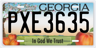 GA license plate PXE3635