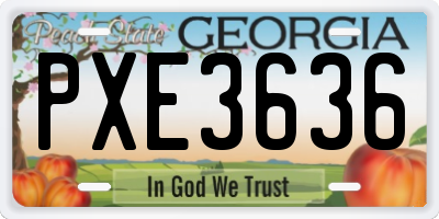 GA license plate PXE3636