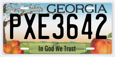 GA license plate PXE3642