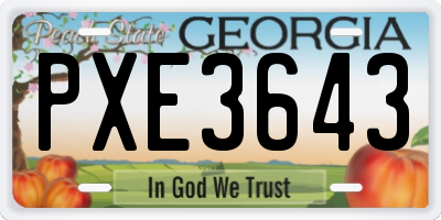 GA license plate PXE3643