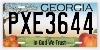 GA license plate PXE3644