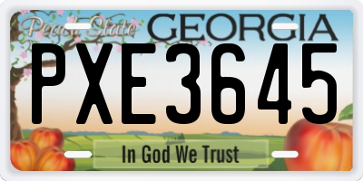GA license plate PXE3645