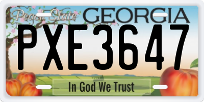 GA license plate PXE3647