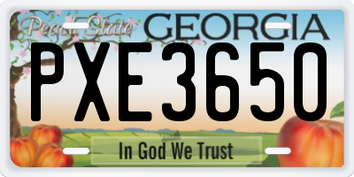 GA license plate PXE3650