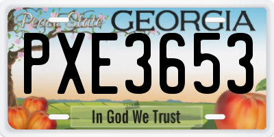 GA license plate PXE3653