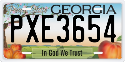 GA license plate PXE3654