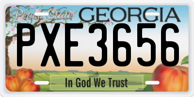 GA license plate PXE3656