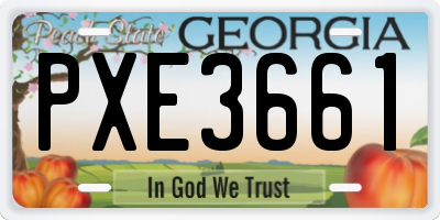 GA license plate PXE3661